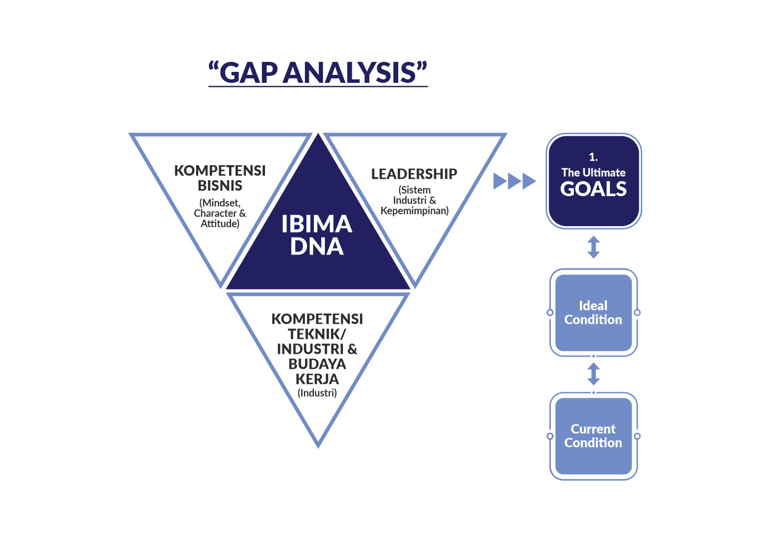 IBIMA Gap Analysis