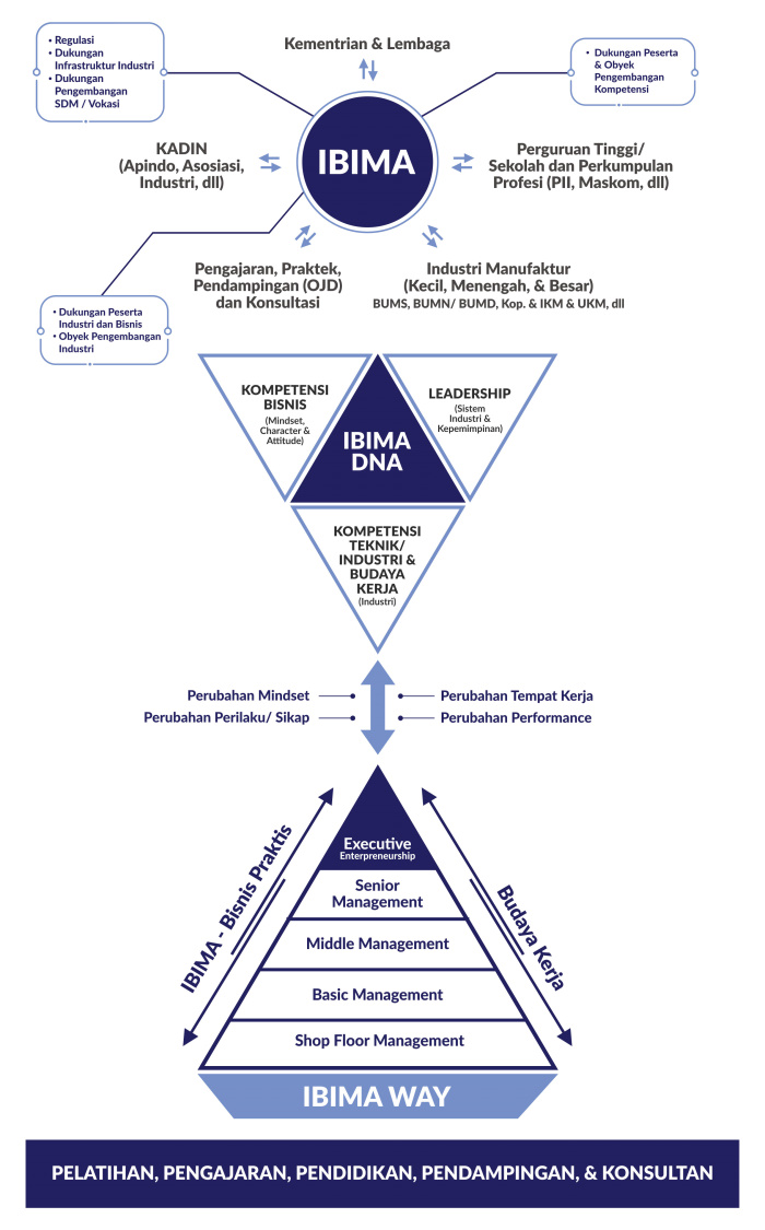 IBIMA DNA Model