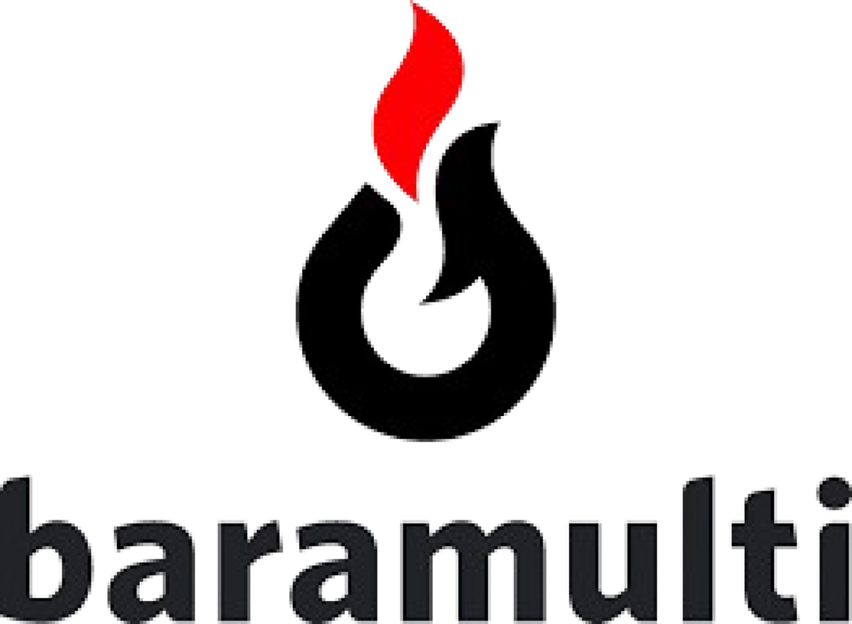 PT BARAMULTI